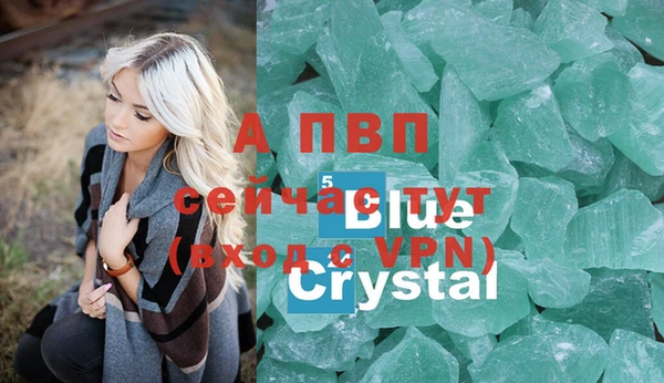 ПСИЛОЦИБИНОВЫЕ ГРИБЫ Елабуга