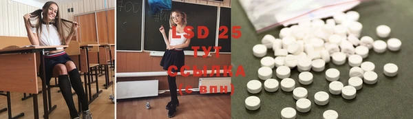 2c-b Ельня