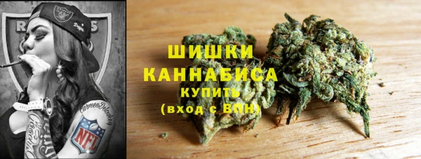 ПСИЛОЦИБИНОВЫЕ ГРИБЫ Елабуга